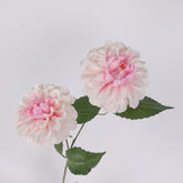 2 Heads Artificial Dahlia Stem 62cmH